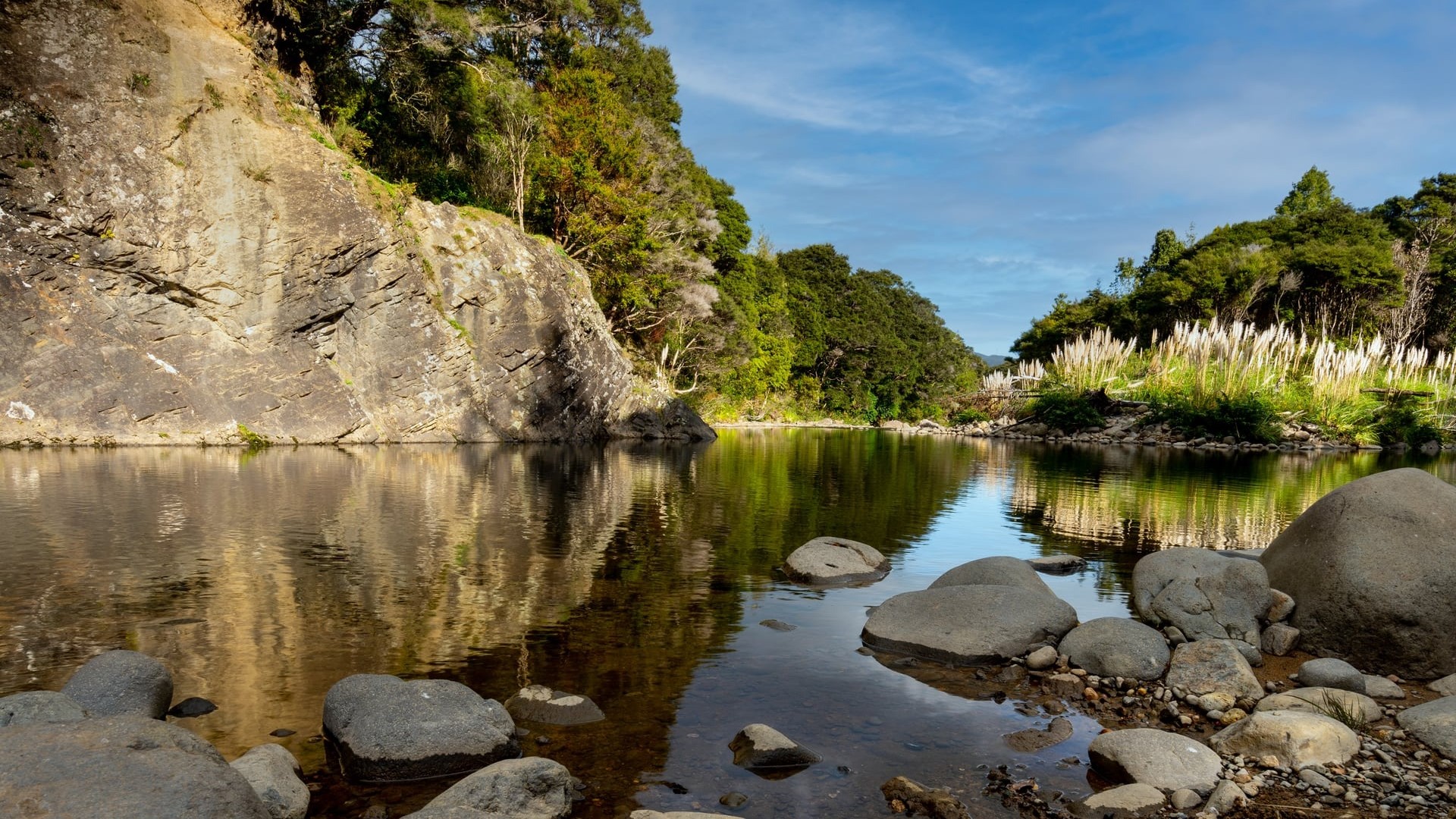 'Significant distress': Shot fired at popular Thames swimming hole