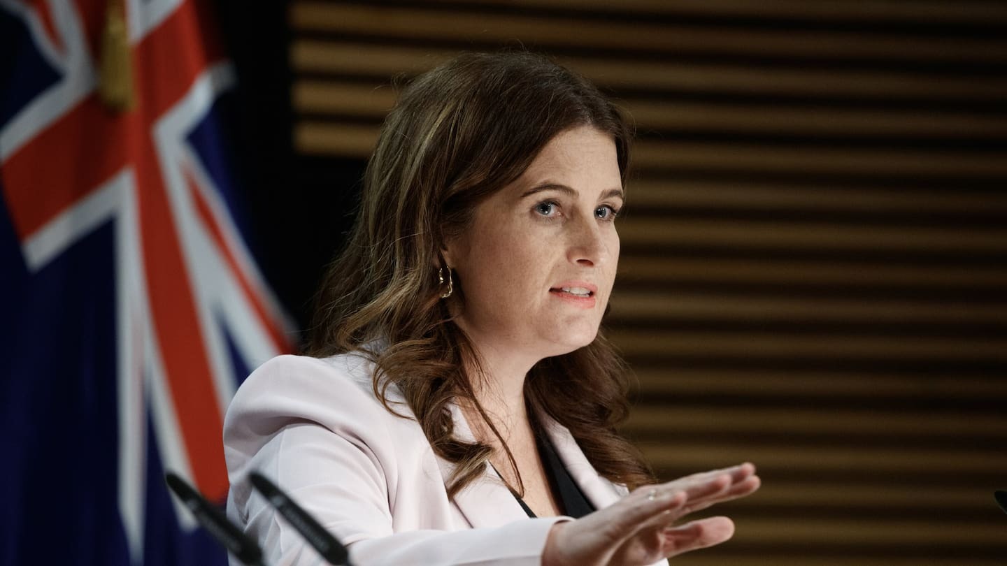 Finance Minister Nicola Willis previews Budget 2025. Photo / Mark Mitchell