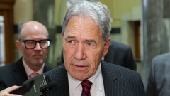 New Zealand First leader Winston Peters says the promise might be a few weeks late. Photo / Mark Mitchell