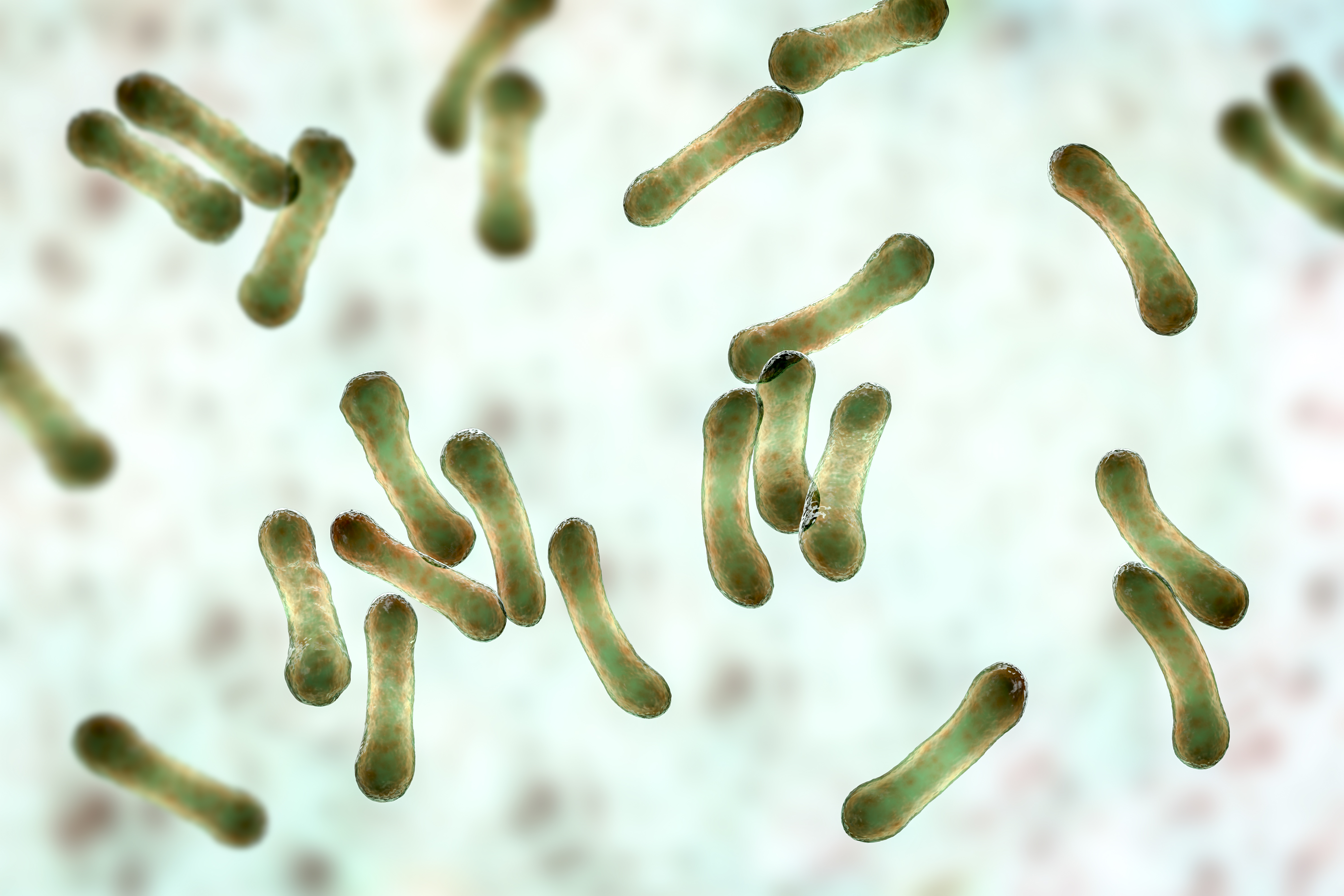 Diphtheria resurging in Australia, experts issue warnings 