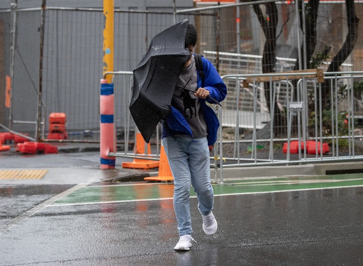 Photo / Mark Mitchell