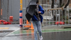 Photo / Mark Mitchell