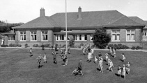 Inquiry launched into Dunedin paedophile ring claims