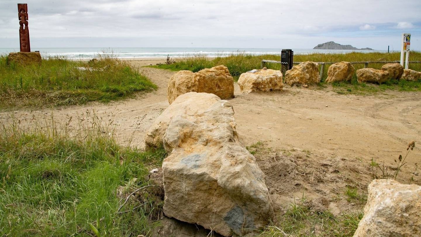 Photo / Warren Buckland