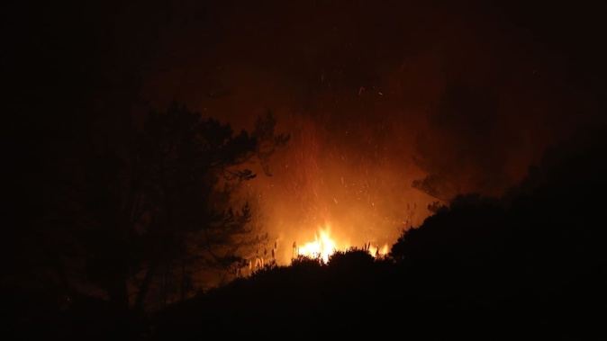 Firefighters were called to the scrub fire in Helensville, north of Auckland, at 3.35am. Photo / Hayden Woodward
