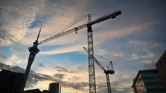 Crane numbers rose, despite sector challenges. (Photo / Greg Bowker)