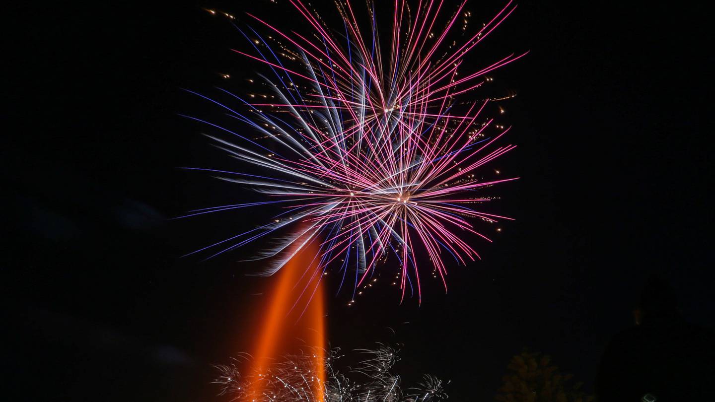 Fireworks caused chaos across the country overnight. Photo / Paul Taylor