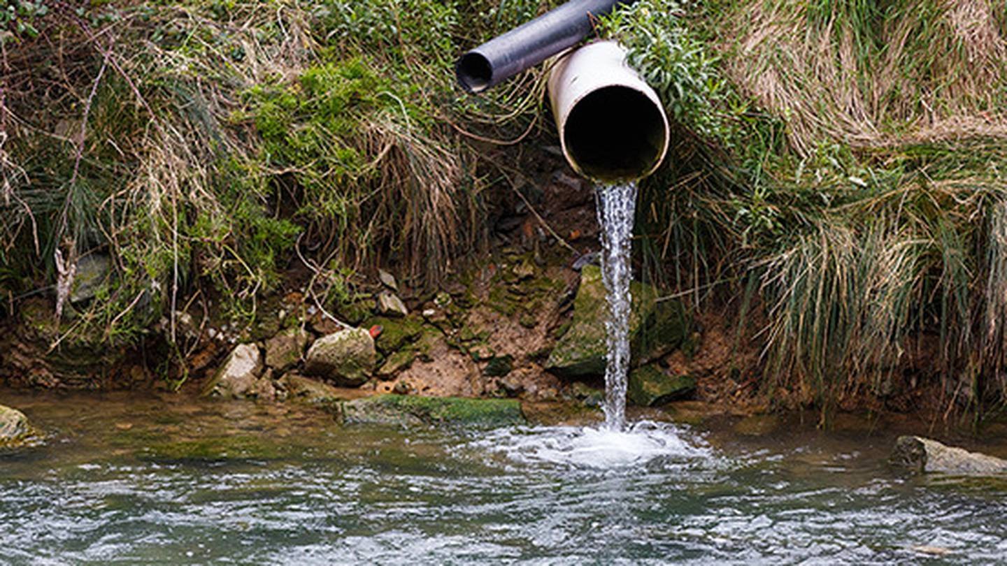 Photo / Getty Images