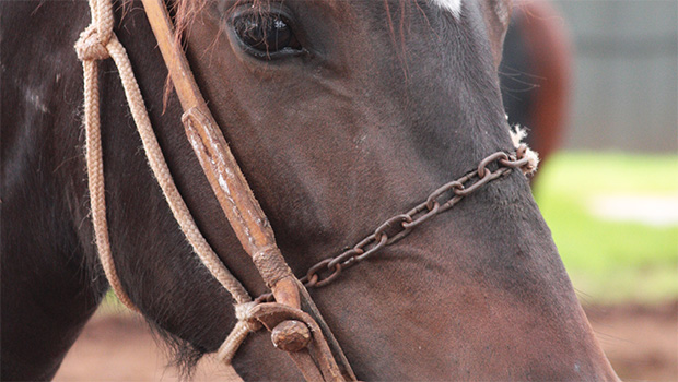 File photo (Stockxchng)