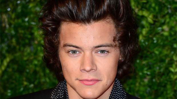 Harry Styles (BANG Showbiz)