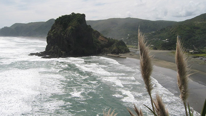 A public health warning has been issued for Piha Lagoon (File Photo)
