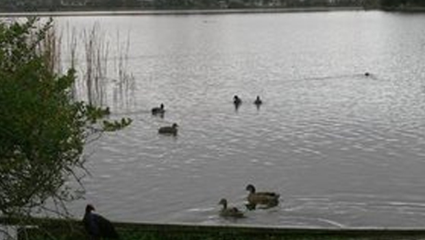 People are being told to avoid contact with any reddish water in the Waikato hydro-lakes (File photo: Newspix/NZ Herald)