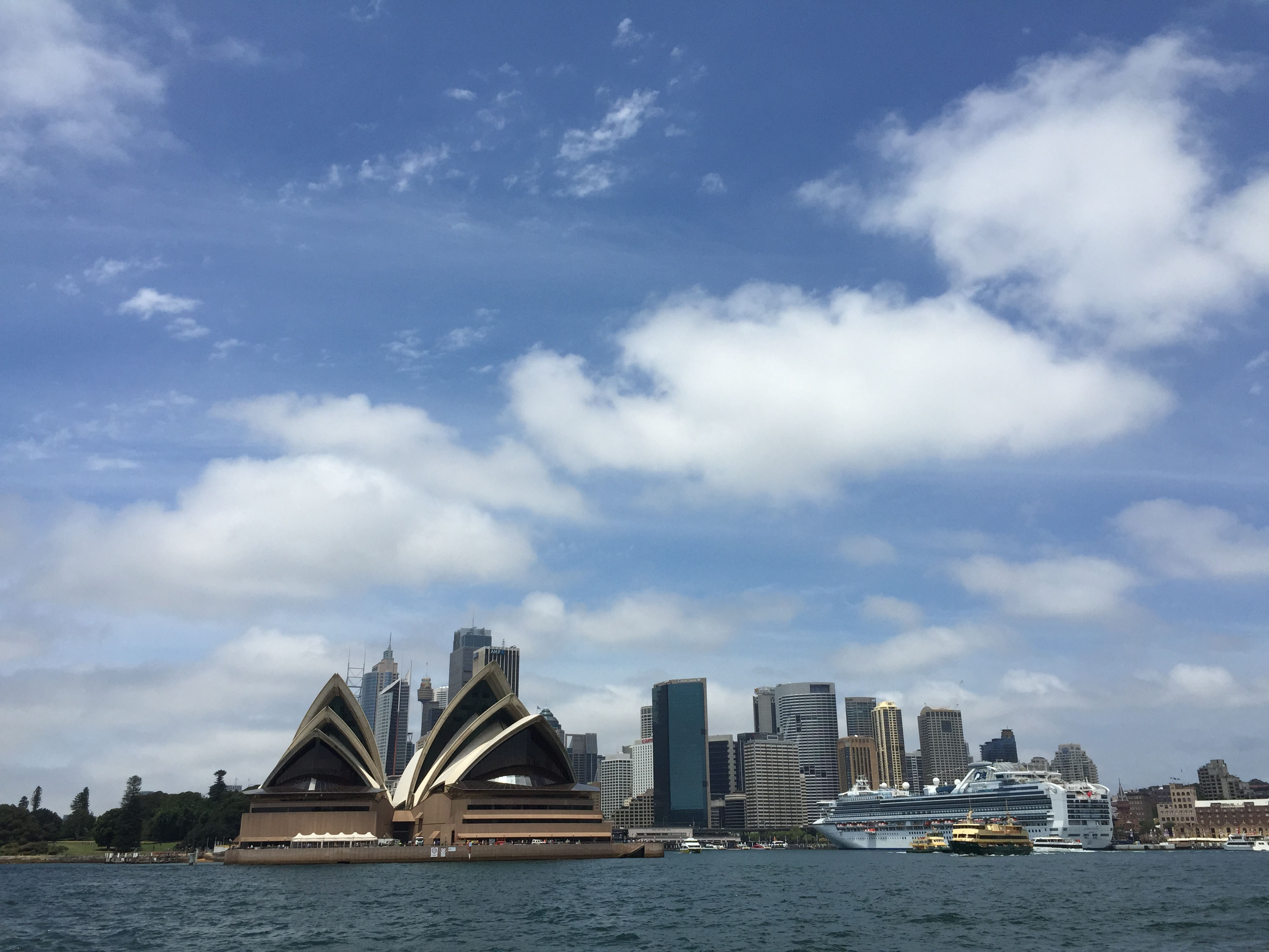 NSW medical professional says anti-vax reaction more muted than in NZ