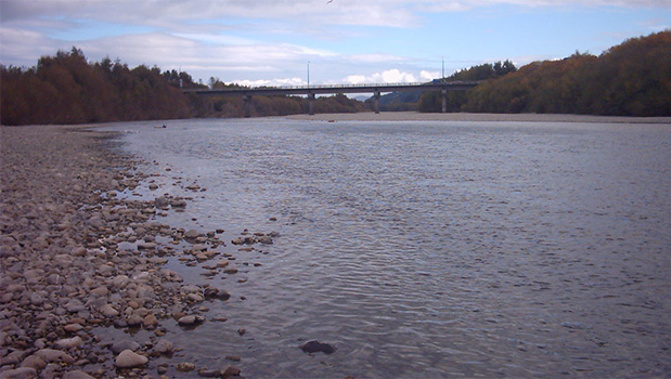 Large mats of toxic algae have been seen in the Hutt River, prompting a warning from the Regional Council. (Wikimedia)