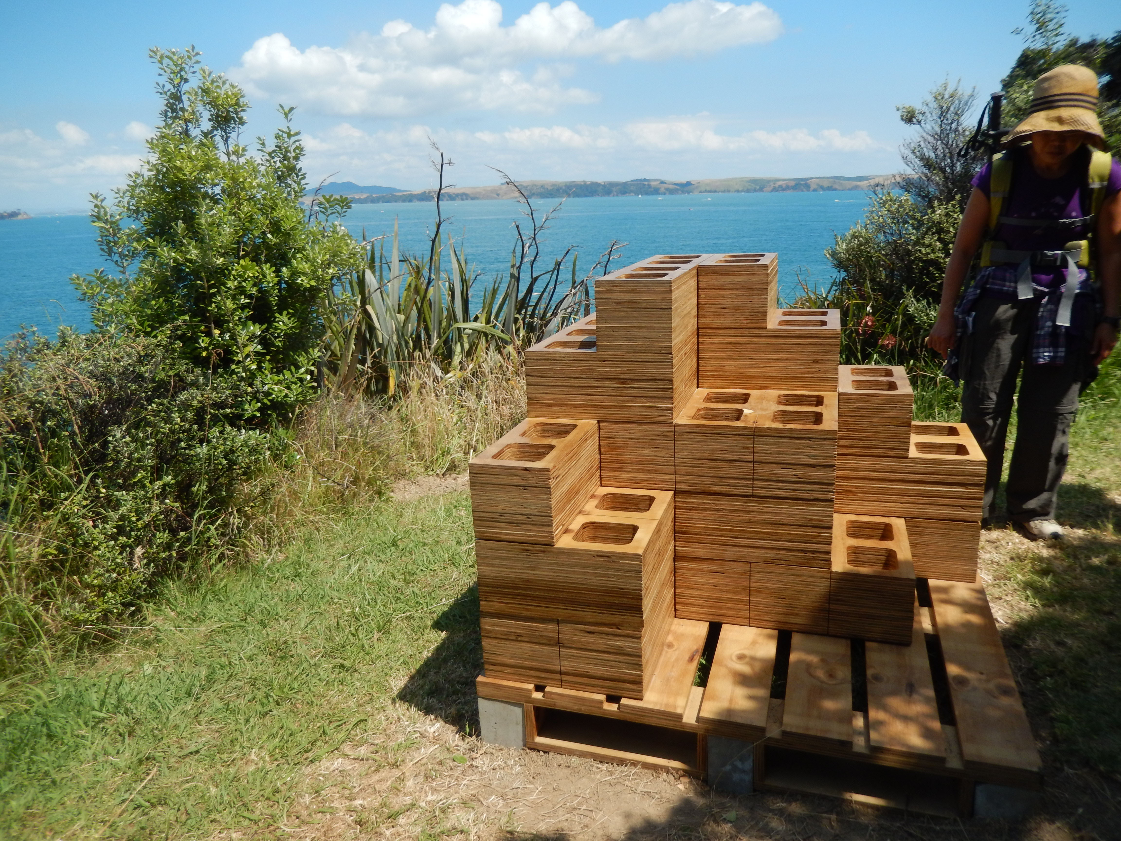 Photo / Matt Ellwood