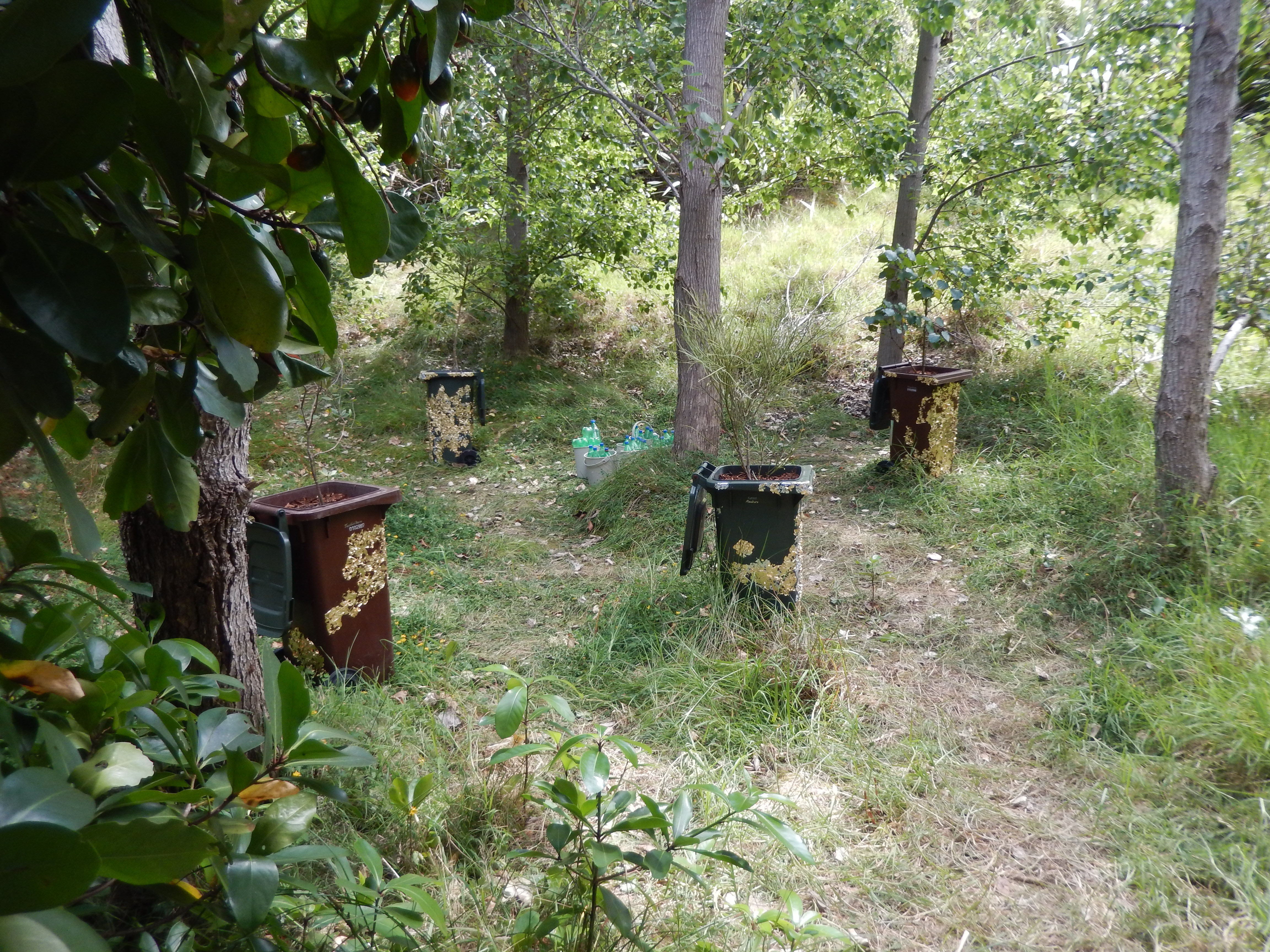 Ikebana Bins by Brydee Rood