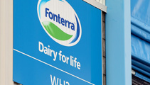 Fonterra reports strong Q1 performance, upgrades milk price