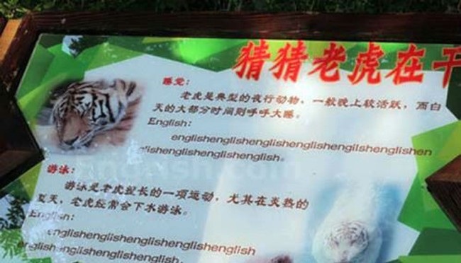 (Photo: Engrish.com)