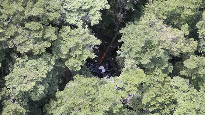 The crash site near Queenstown (Supplied)