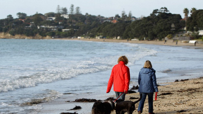 Takapuna beach (Getty Images)