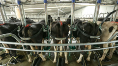 File photo (Getty Images)