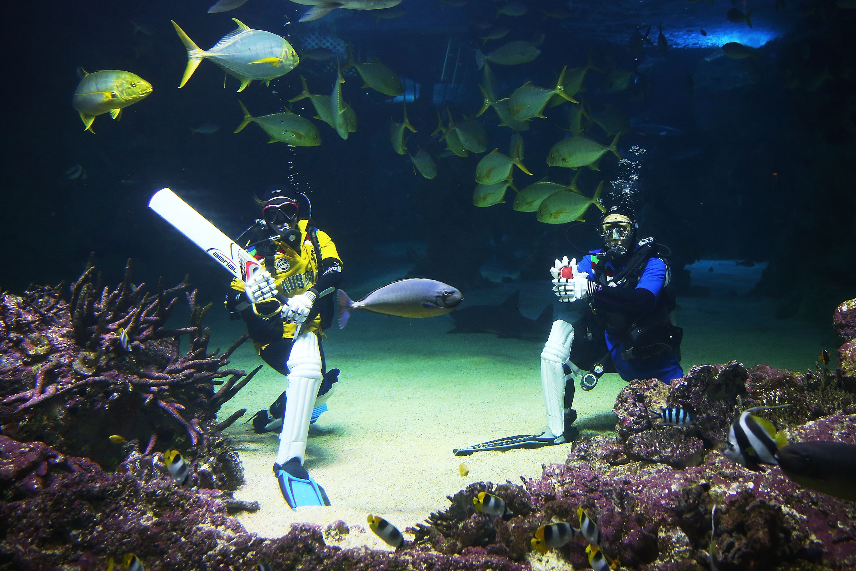  Alicia Lloyd (Australia) bats while Amanda Elzer (Sri Lanka) bowls at SEA LIFE Sydney Aquarium at Sydney Aquarium on March 3, 2015 in Sydney, Australia. 