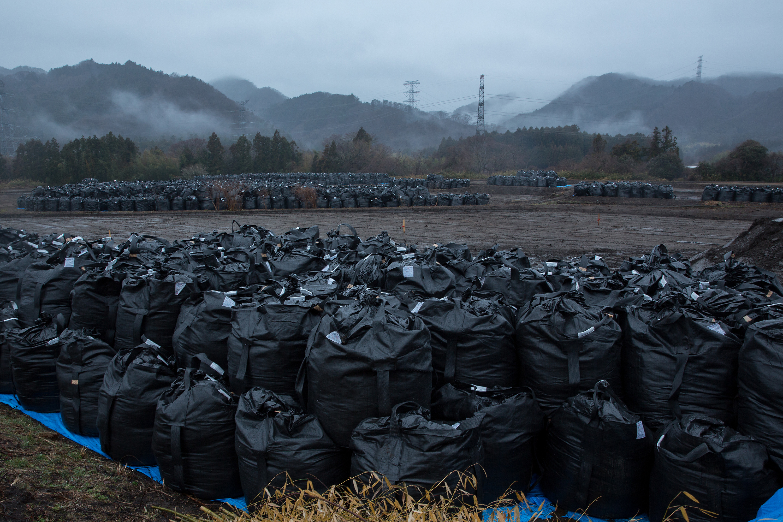 Bags of soil contaminated with radiation are stacked on March 9, 2015 in Tomioka town, Fukushima prefecture, Japan.