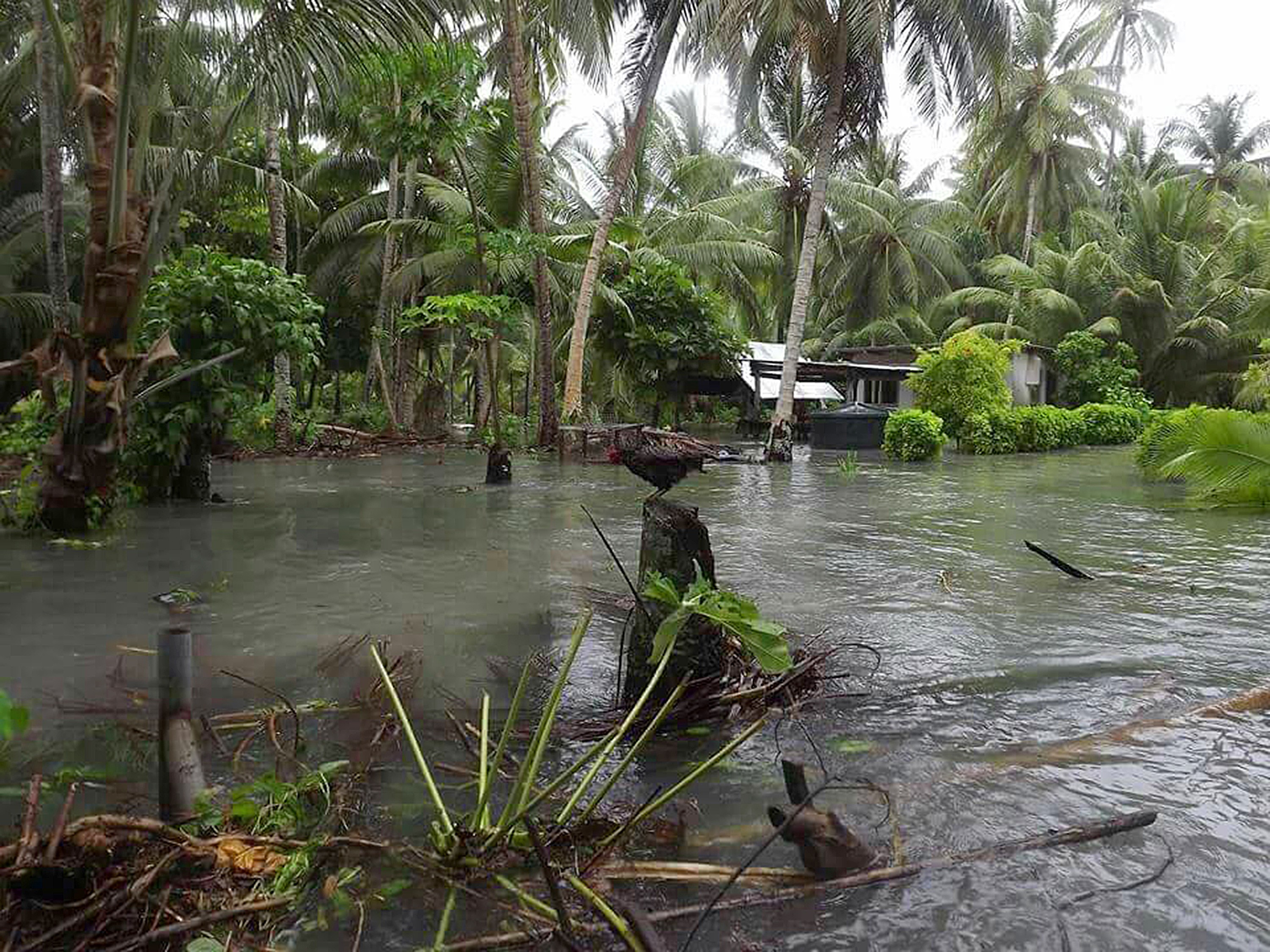 More devastation in Tuvalu.