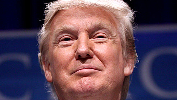 Trump for President? (Wikipedia) 