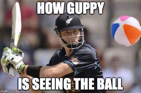 Cricket World Cup 2015 In Memes