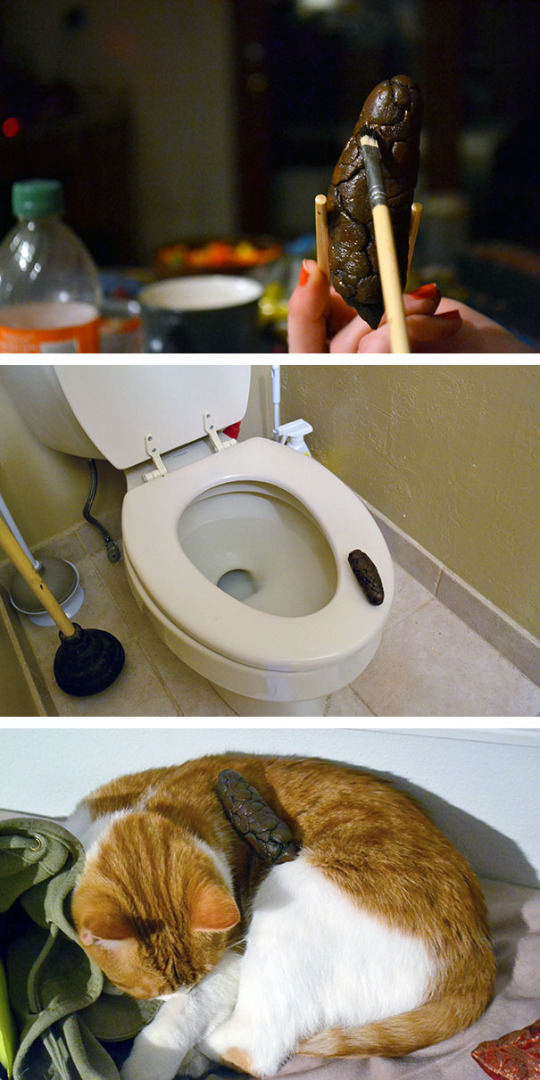 Couldn't be a pranking gallery without fake poo..