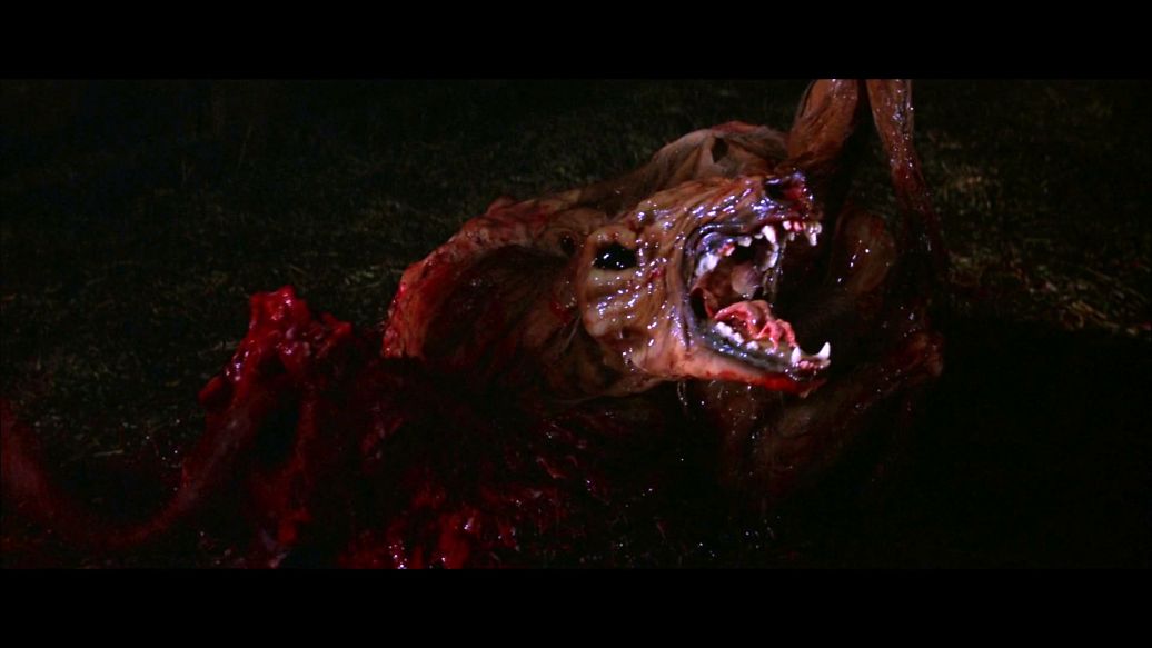 The Thing in various forms (The Thing, 1982)