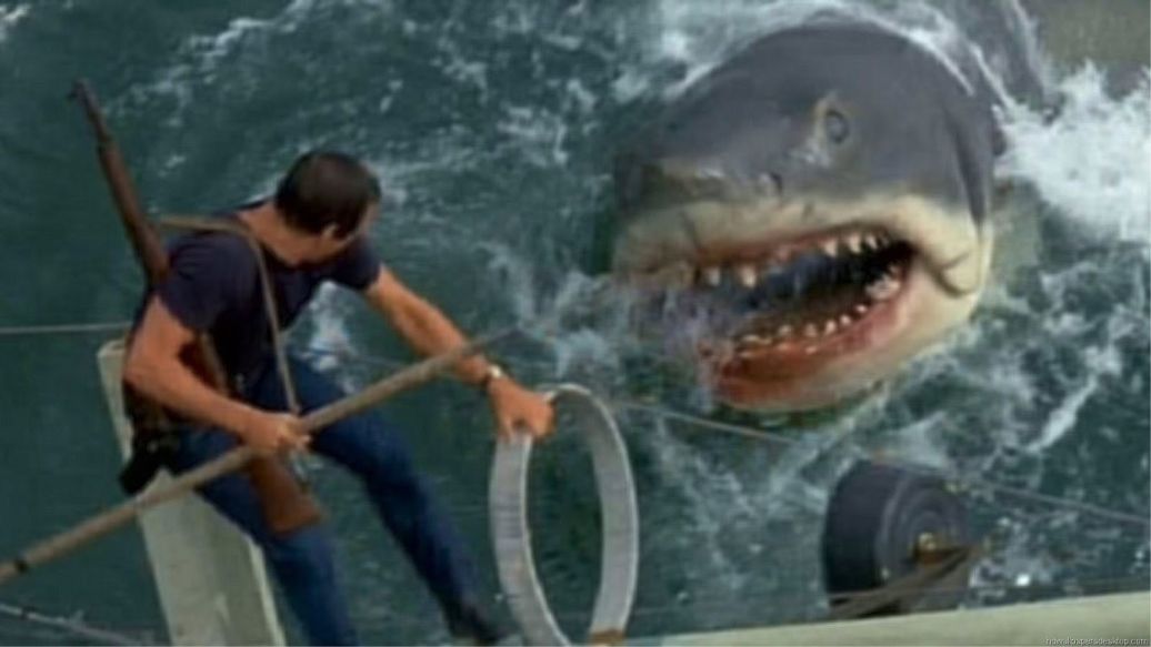 Jaws the shark (Jaws, 1975)