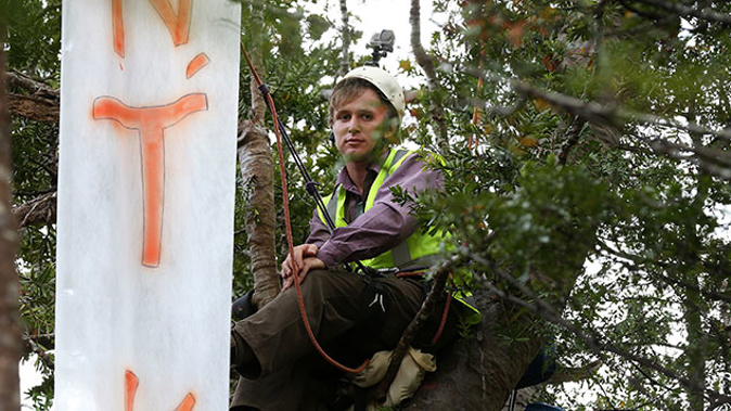 Michael Taveres up the tree.