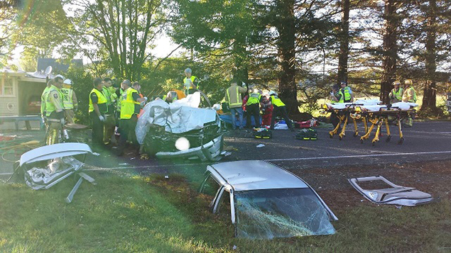 The crash site near Tairua (NZ Police) 