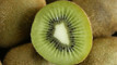 Final charter of Kiwifruit season underway after record-breaking crop haul