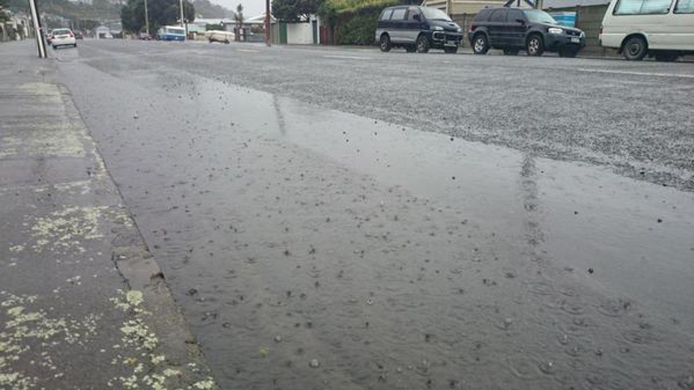 (Lyall Bay in Wellington)