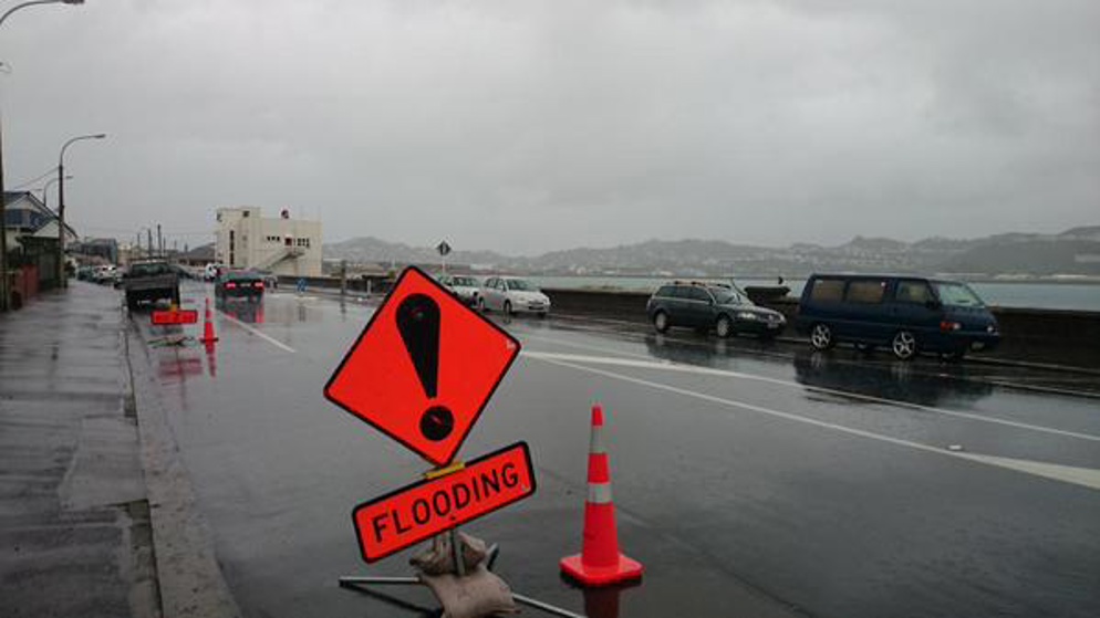 (Lyall Bay in Wellington)