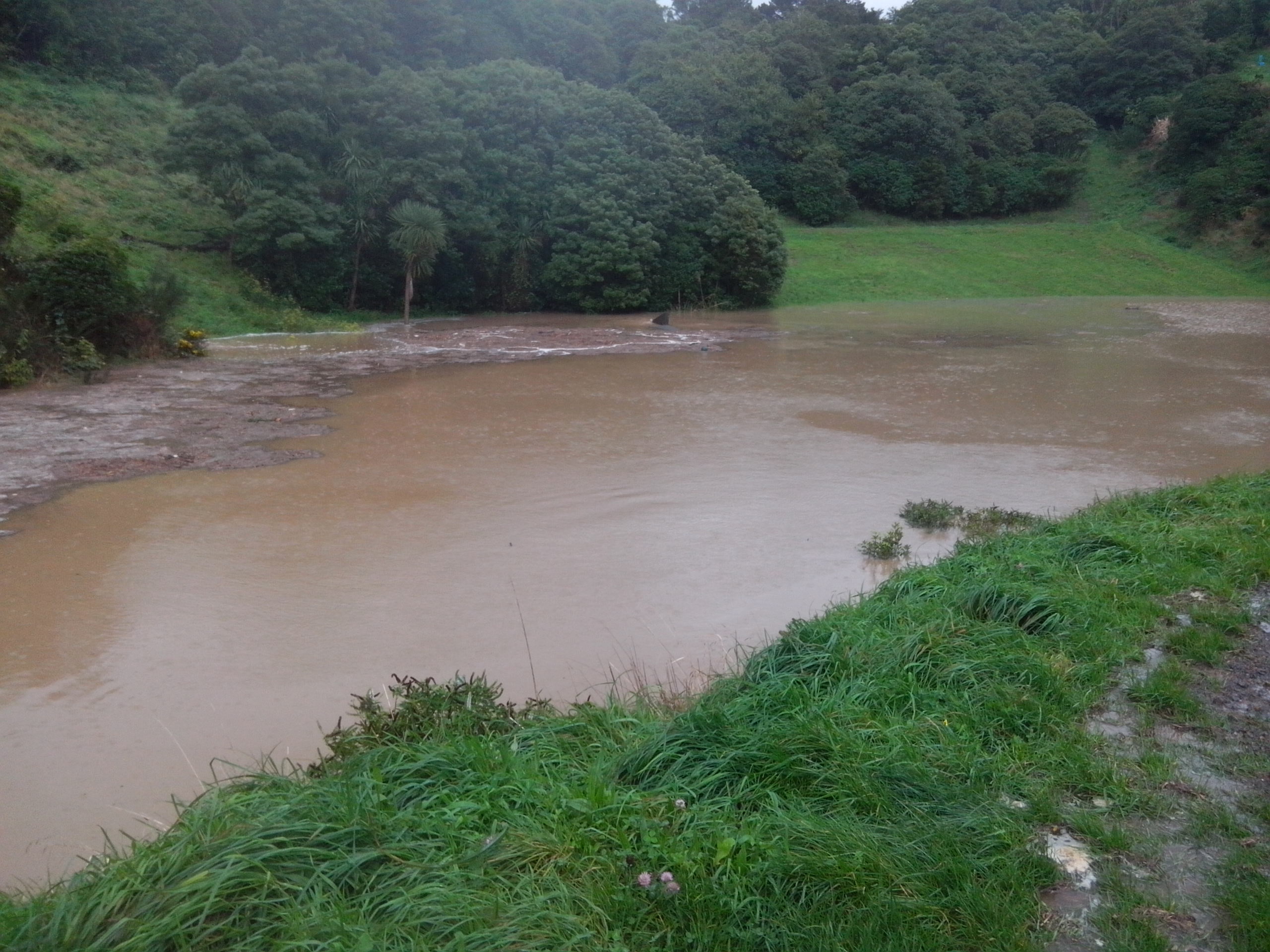 Photo: Jim Candiliotis