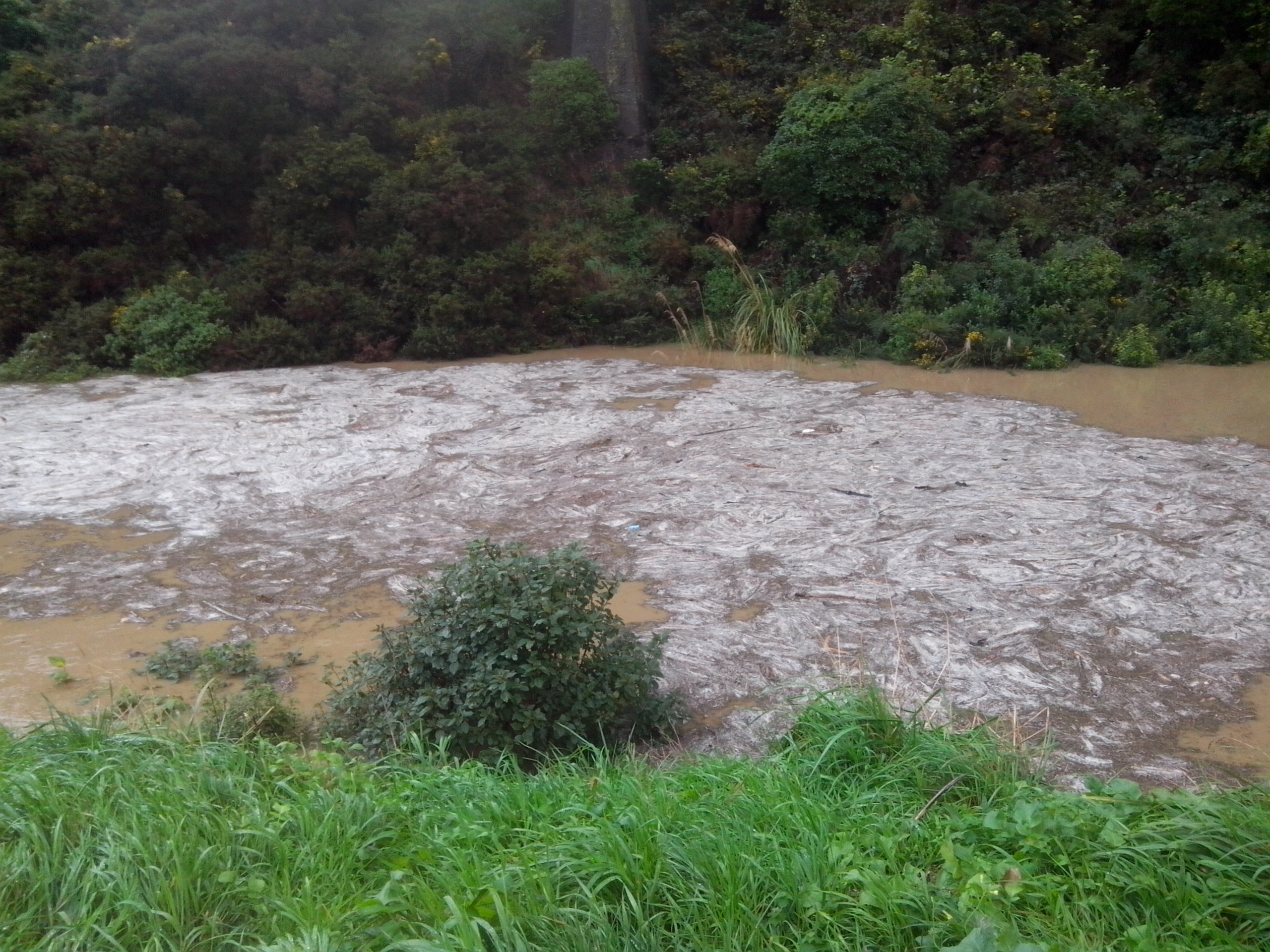 Photo: Jim Candiliotis