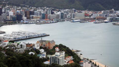 Wellington (File photo)