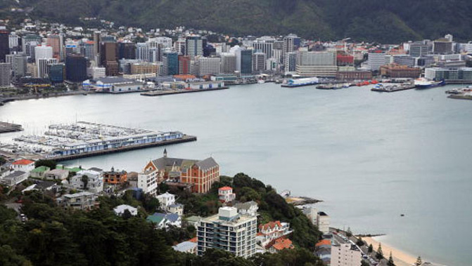 Wellington (File photo)