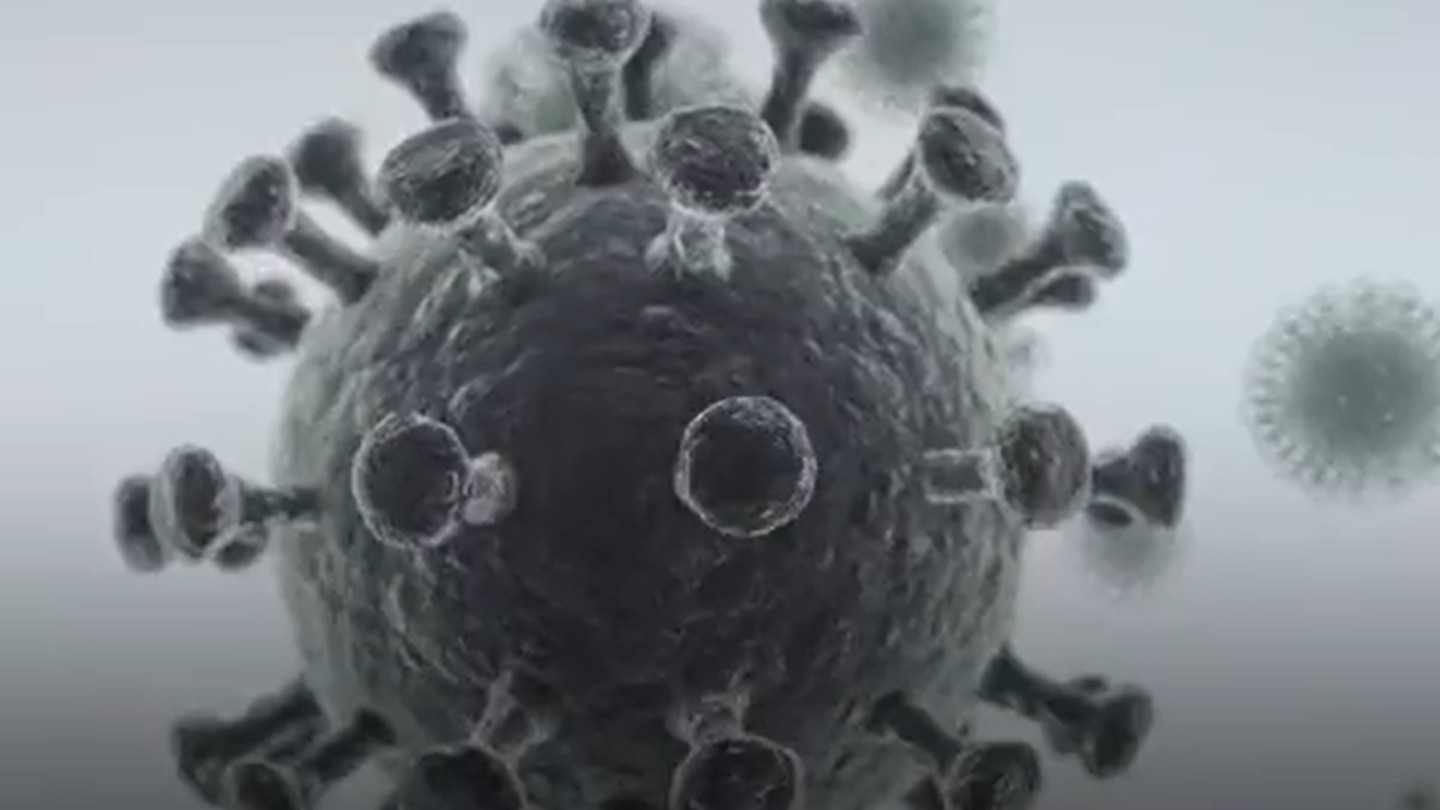 One Christchurch GP said most of her Long Covid patients were extremely disabled and there was nowhere specialised to send them that was publicly funded. Photo / WHO