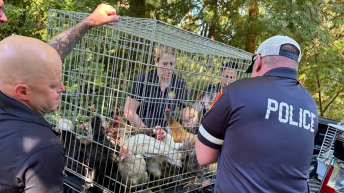 Police remove animals discovered in the home. Photo / Suffolk County District Attorney