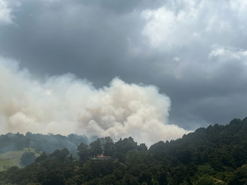 Smoke seen in Waikaraka, Whangārei, after reports of a fire near Onerahi and Tamaterau on 9 January, 2025. Photo / Rachel Maher