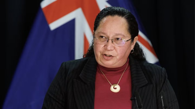 Associate Justice Minister Nicole McKee says current laws have loopholes that can allow for abuse. Photo / Mark Mitchell