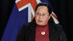 Associate Justice Minister Nicole McKee says current laws have loopholes that can allow for abuse. Photo / Mark Mitchell