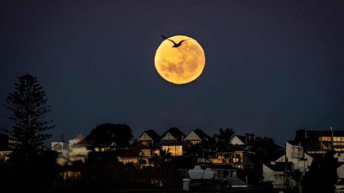Conditions will generally be fine and there is expected to be ample opportunity to view the lunar spectacle on the east coast. Photo / Michael Craig