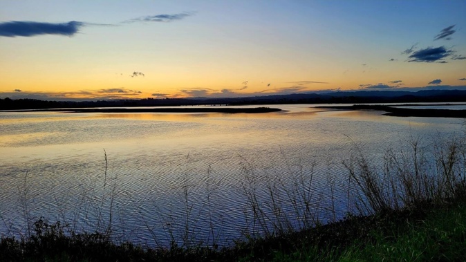 Hawke's Bay Regional Council says the wine spill discoloured the water of Ahuriri Estuary. Photo / Jenny Easton