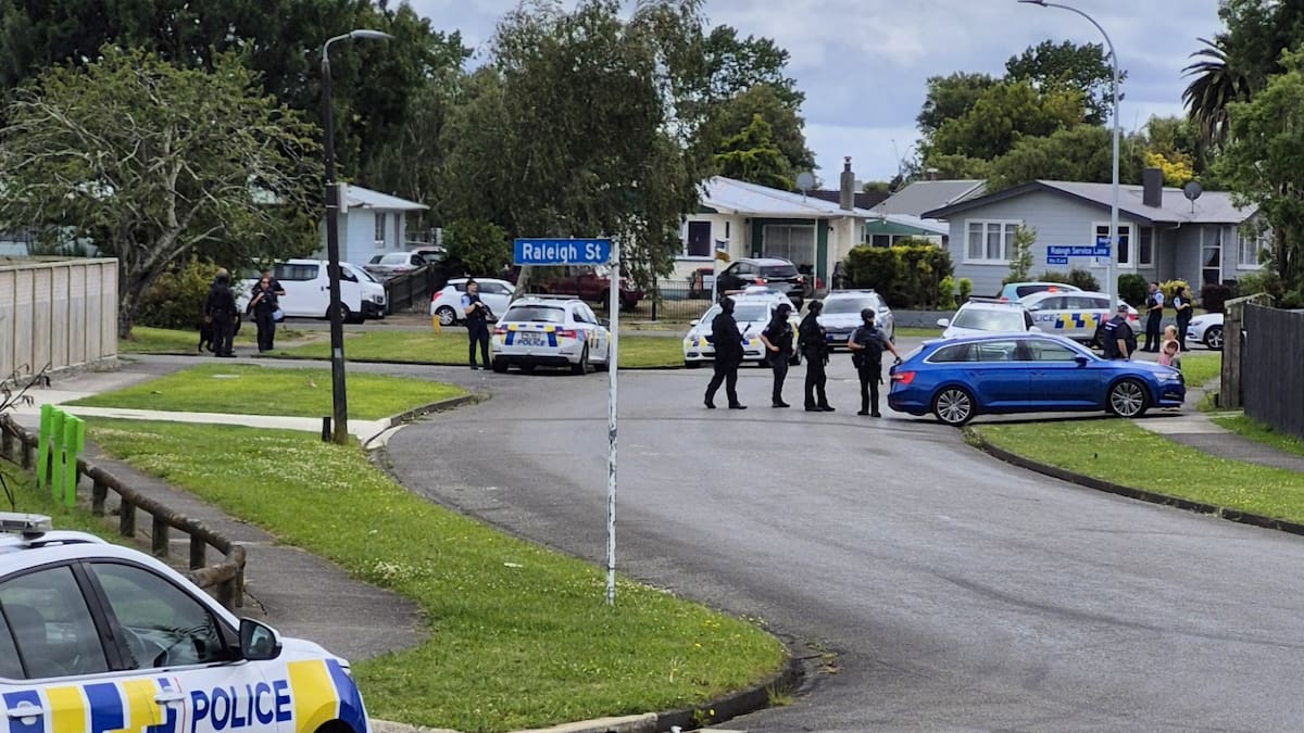 Armed police swarm as driver flees spiked stolen car